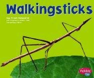Beispielbild fr Walkingsticks zum Verkauf von Better World Books