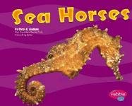 Beispielbild fr Sea Horses (Pebble Plus) zum Verkauf von Jenson Books Inc