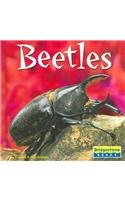 Imagen de archivo de Beetles (World of Insects) a la venta por SecondSale