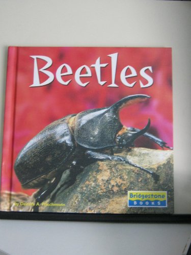 Stock image for Beetles (World of Insects) for sale by SecondSale