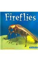 Fireflies (WORLD OF INSECTS) (9780736837071) by Miller, Connie Colwell