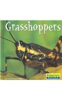 Imagen de archivo de Grasshoppers a la venta por Better World Books