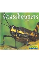 Stock image for Grasshoppers for sale by Better World Books