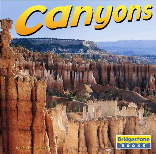 Imagen de archivo de Canyons a la venta por Better World Books