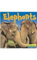 Beispielbild fr Elephants zum Verkauf von Better World Books