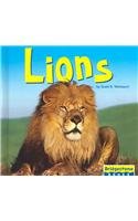 Stock image for Lions for sale by Better World Books