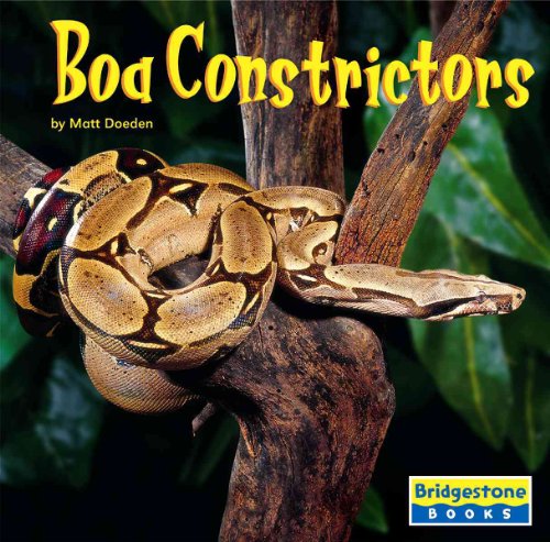 9780736837293: Boa Constrictors (BRIDGESTONE BOOKS. WORLD OF REPTILES)