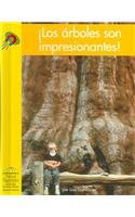 9780736841689: Los Arboles Son Impresionantes! (Yellow Umbrella Books) (Spanish Edition)