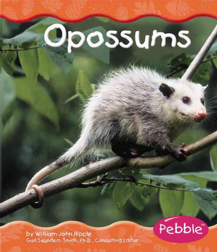 Beispielbild fr Opossums zum Verkauf von ThriftBooks-Dallas