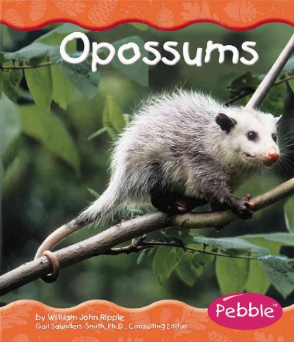 Stock image for Opossums for sale by ThriftBooks-Dallas