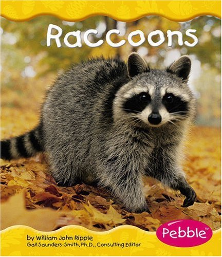 9780736842501: Raccoons (Pebble Books)