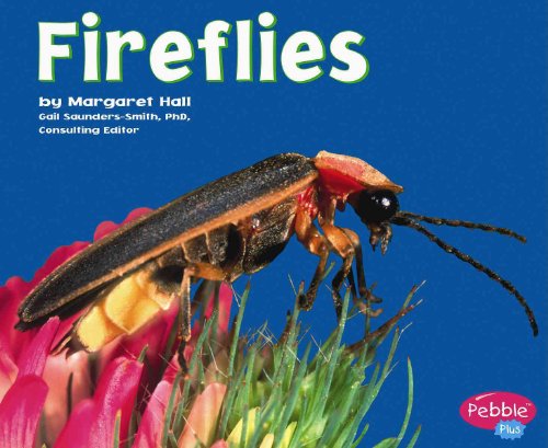 Fireflies (Pebble Plus) (9780736842532) by Hall, Margaret