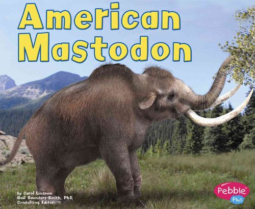 9780736842556: American Mastodon (Pebble Plus)