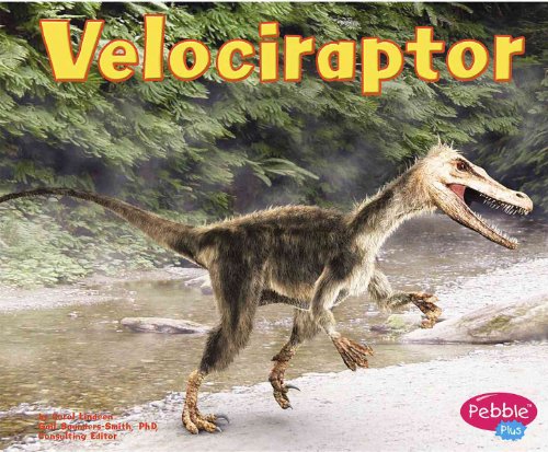 9780736842587: Velociraptor (Pebble Plus)