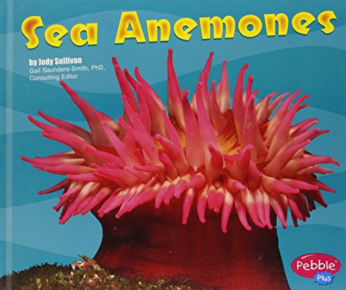 Sea Anemones (Pebble Plus) (9780736842716) by Sullivan, Jody; Rake, Jody Sullivan