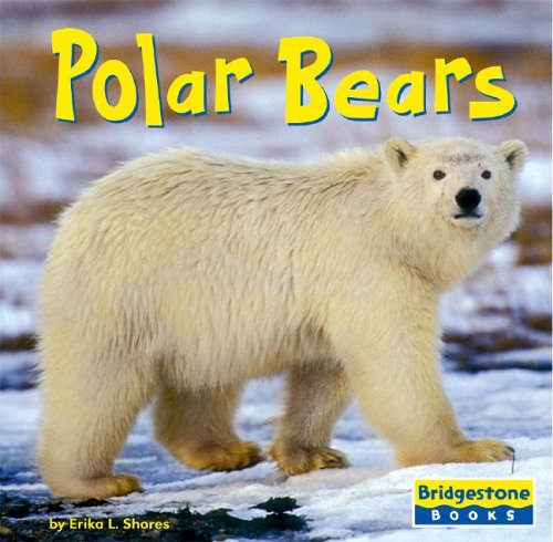 9780736843126: Polar Bears