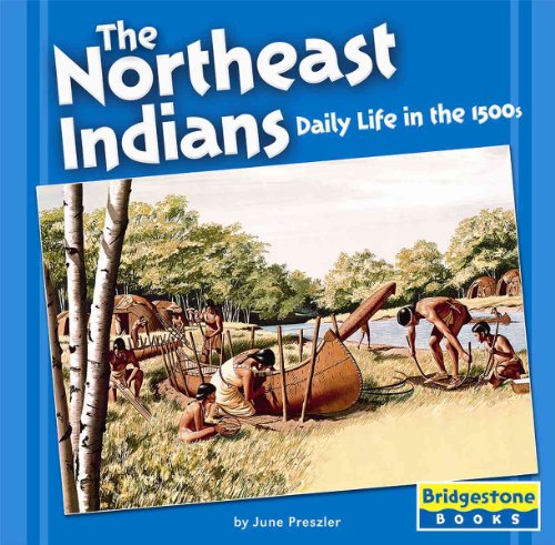 9780736843140: The Northeast Indians: Daily Life In The 1500s (Native American Life)