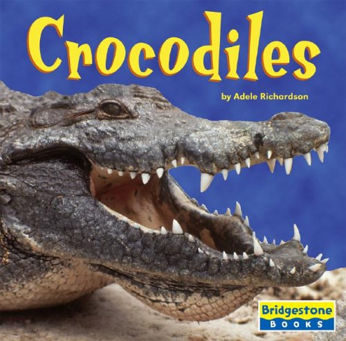 Stock image for Crocodiles (World of Reptiles) for sale by Your Online Bookstore