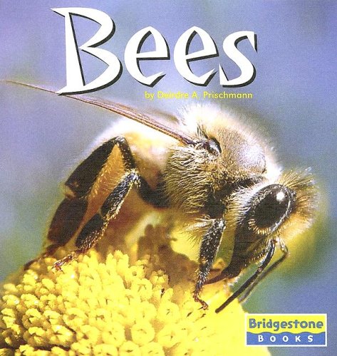 9780736843348: Bees (World of Insects)