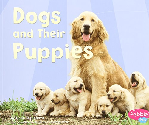 Stock image for Dogs and Their Puppies (Pebble Plus: Animal Offspring) for sale by Once Upon A Time Books