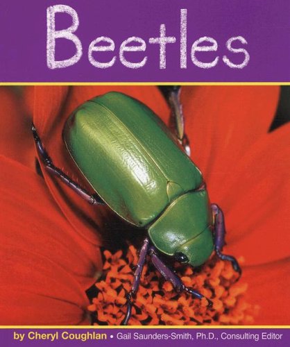 9780736848800: Beetles (Insects)