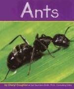 Beispielbild fr Ants (Insects) zum Verkauf von Wonder Book