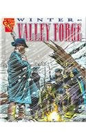 Imagen de archivo de Winter at Valley Forge a la venta por Better World Books: West