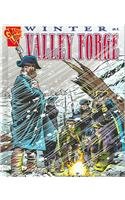 Stock image for Winter at Valley Forge for sale by Better World Books: West
