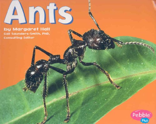 Ants (Pebble Plus; Bugs, Bugs, Bugs) (9780736850940) by Hall, Margaret