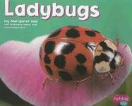 9780736850971: Ladybugs (Pebble Plus: Bugs, Bugs, Bugs)