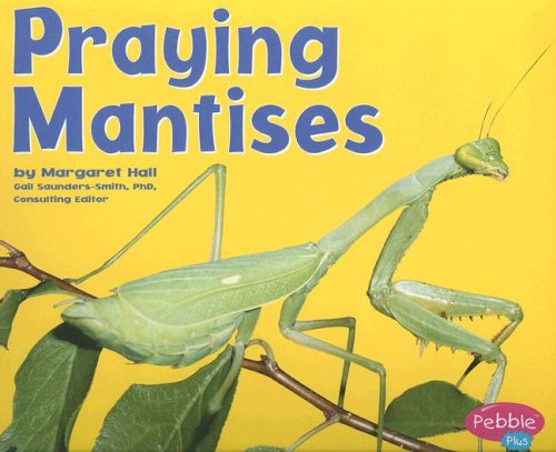 Stock image for Praying Mantises for sale by Better World Books