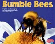 Beispielbild fr Bumble Bees (Bugs, Bugs, Bugs!) zum Verkauf von SecondSale