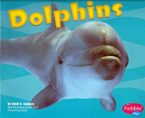 Imagen de archivo de Dolphins (Pebble Plus: Under the Sea) a la venta por Gulf Coast Books