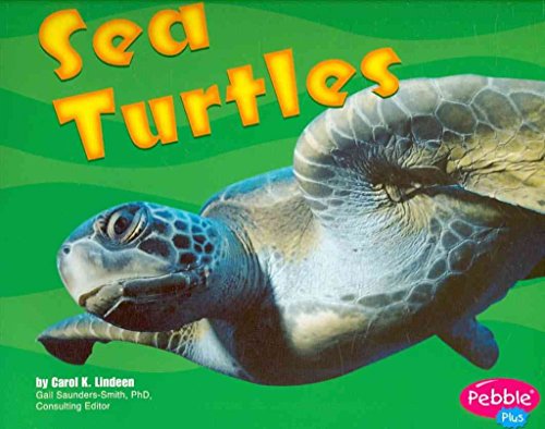 9780736851138: Sea Turtles (Under the Sea)
