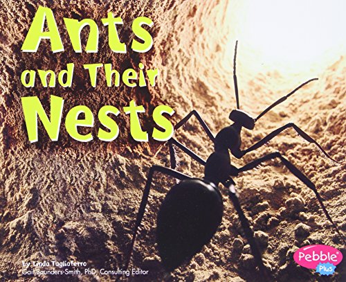 Imagen de archivo de Ants and Their Nests a la venta por ThriftBooks-Atlanta