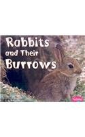 Stock image for Rabbits and Their Burrows (Animal Homes) for sale by Half Price Books Inc.