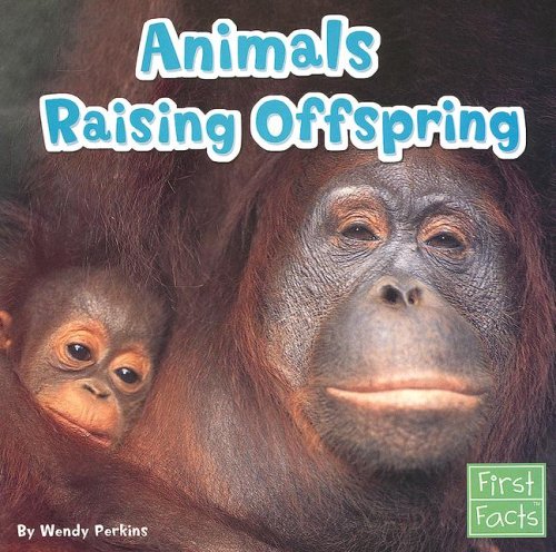 Animals Raising Offspring (First Facts: Animal Behavior) (9780736851626) by Perkins, Wendy