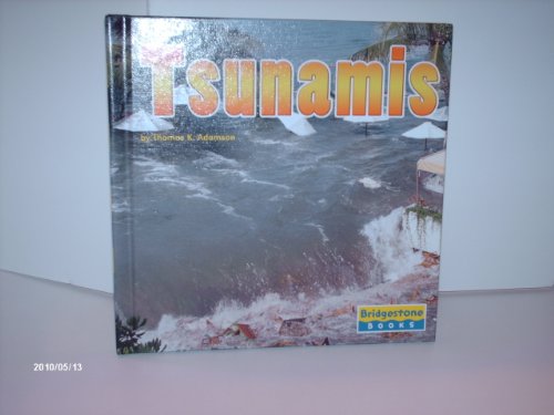 Beispielbild fr Tsunamis zum Verkauf von Better World Books