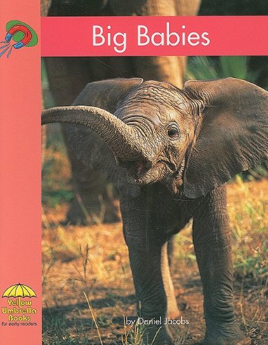 Big Babies (Yellow Umbrella Books for Early Readers, Level B - Science) (9780736852579) by Jacobs, Daniel