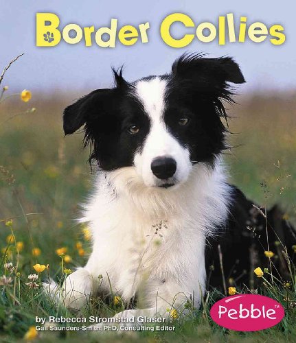 9780736853316: Border Collies (Pebble Books)