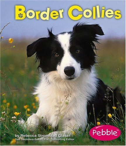 9780736853316: Border Collies (Pebble Books)