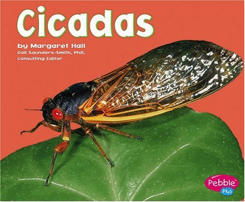 9780736853491: Cicadas (Pebble Plus: Bugs, Bugs, Bugs!)