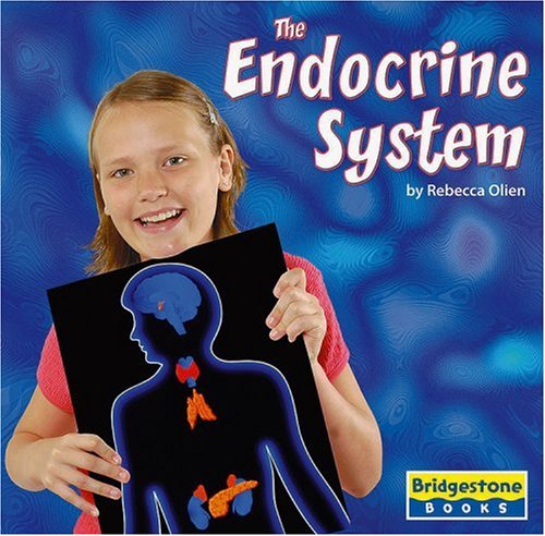 Imagen de archivo de The Endocrine System (Human Body Systems) a la venta por Once Upon A Time Books