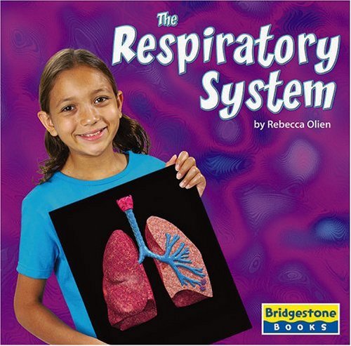 Imagen de archivo de The Respiratory System a la venta por Better World Books