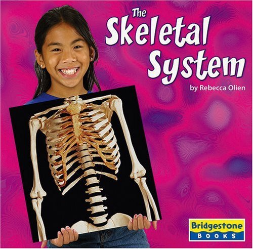 Beispielbild fr The Skeletal System (Human Body Systems) zum Verkauf von WeSavings LLC