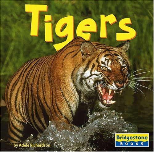 Stock image for Tigers for sale by ThriftBooks-Dallas