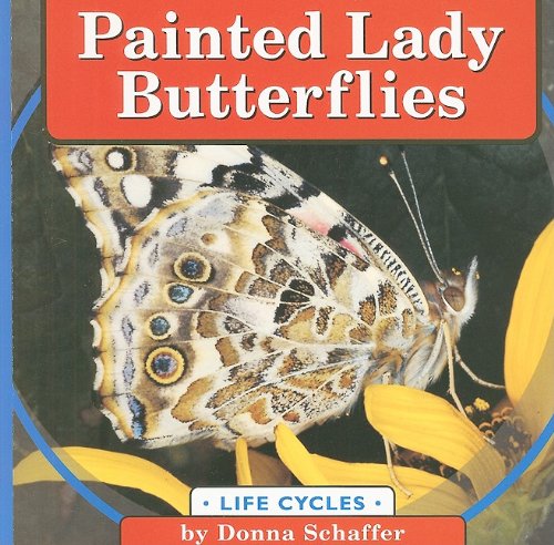 Stock image for Painted Lady Butterflies (Life Cycles) for sale by HPB-Emerald