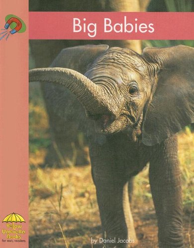 9780736858274: Big Babies (Yellow Umbrella Books)