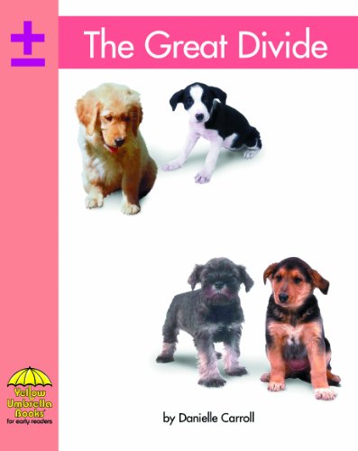 Imagen de archivo de The Great Divide (Math) a la venta por The Book Cellar, LLC