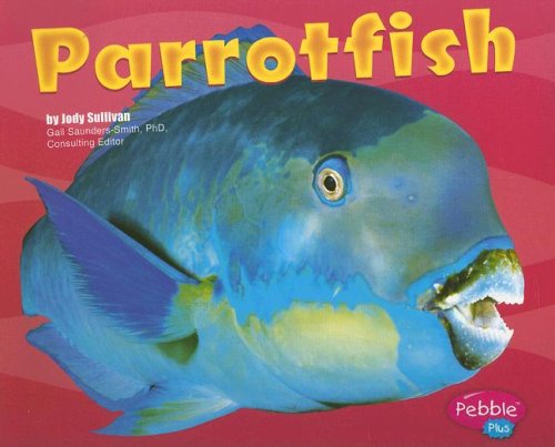 9780736861335: Parrotfish (Under the Sea (Capstone Paperback))